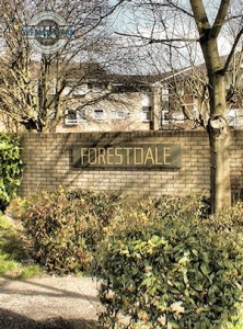 Forestdale Fence