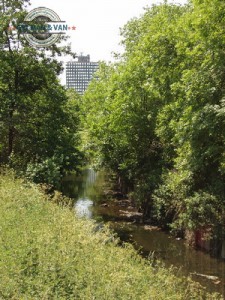 Tokyngton River Brent