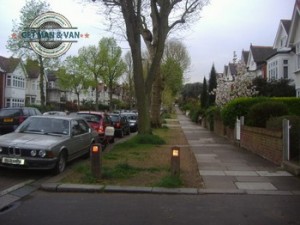 East-Sheen-Trees